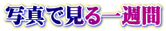 写真で見る一週間